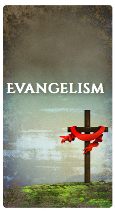 The Cross Banner Widget